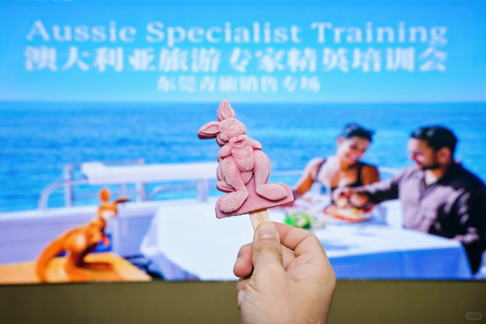 小型推介会怎么拍？