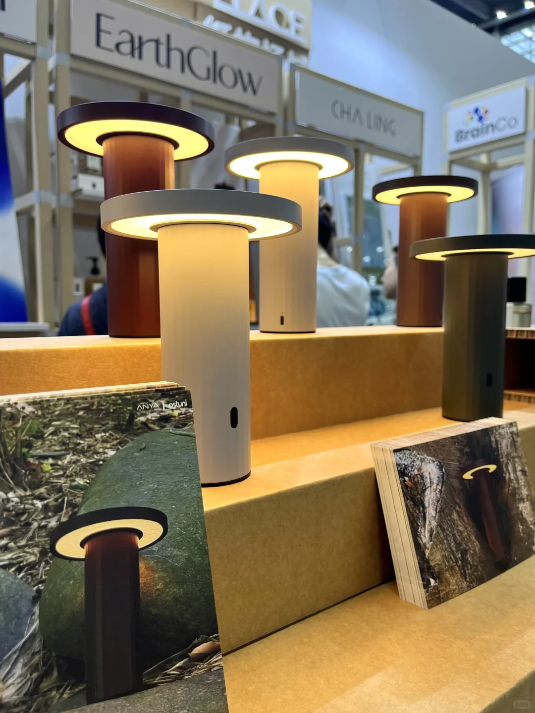 台风天?来看“设计深圳2025 ”?