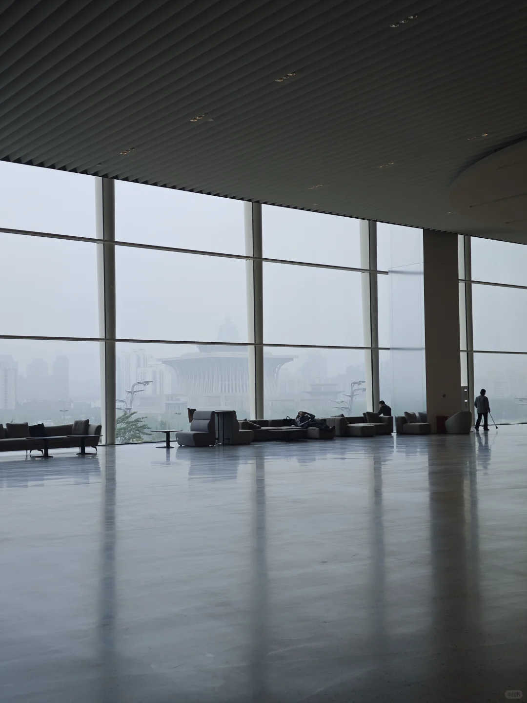 雨天｜参加2025北京国际商事法律论坛