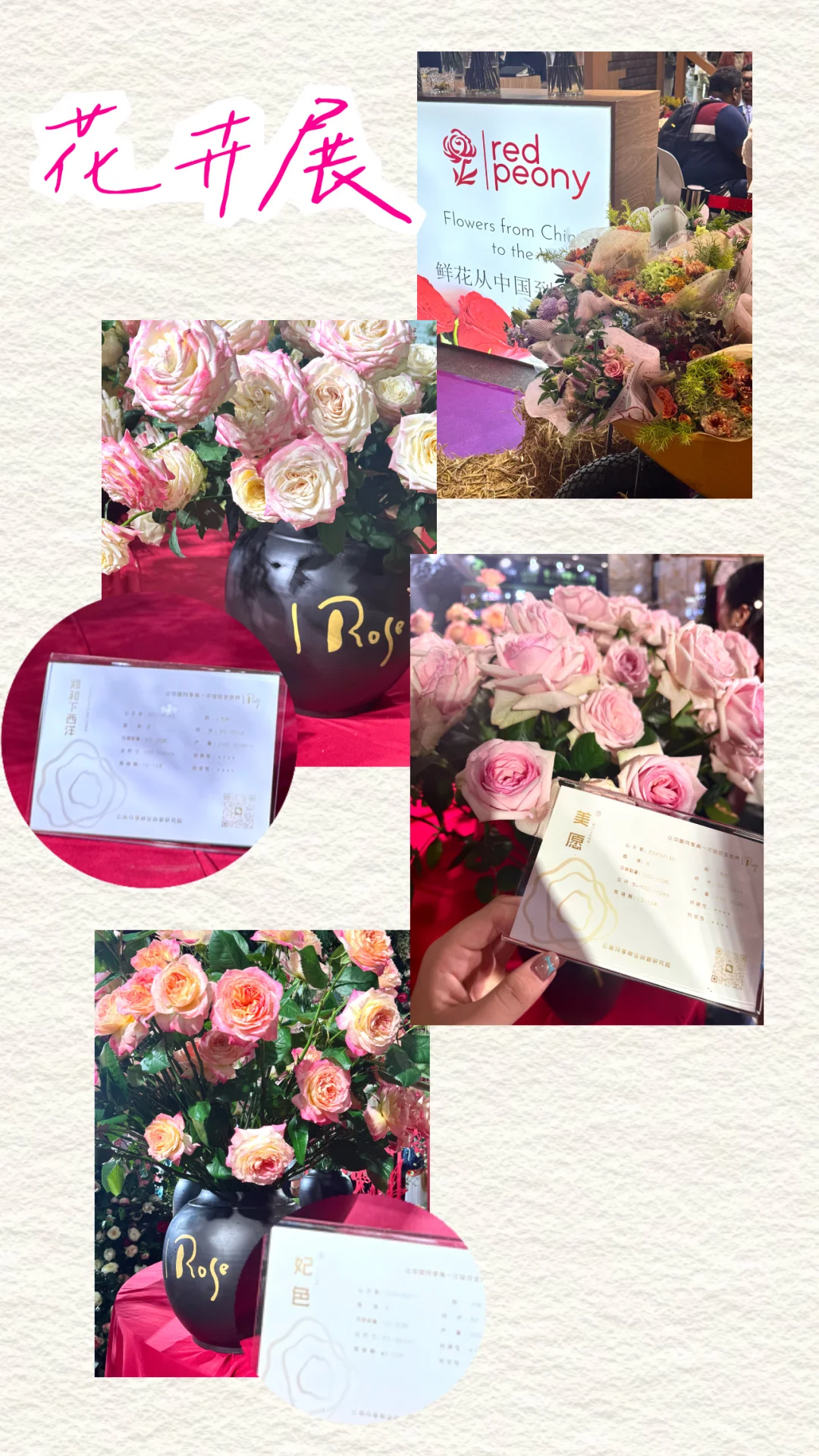 IFEX国际花卉园艺展会记