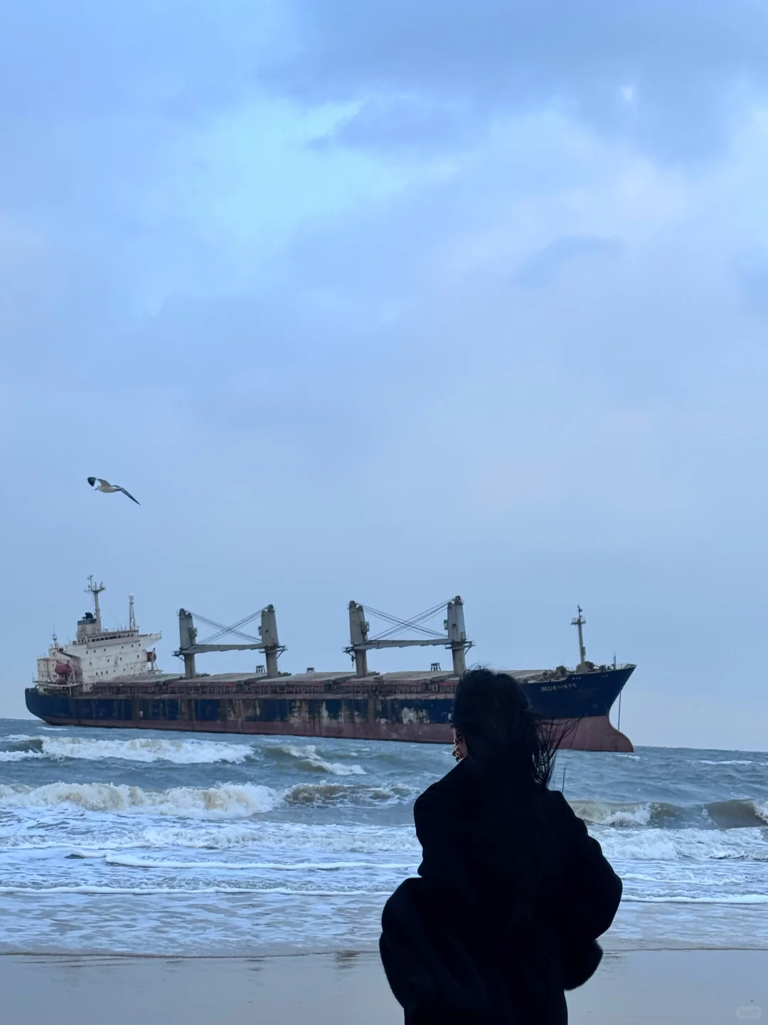 “ 这该死的宿命感 ”｜布鲁威斯号沉船