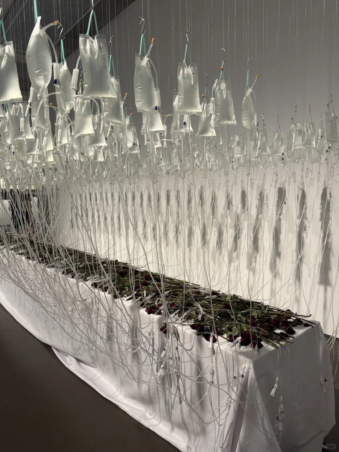 2025想搞钱 外贸SOHO怎样真正靠谱接单？