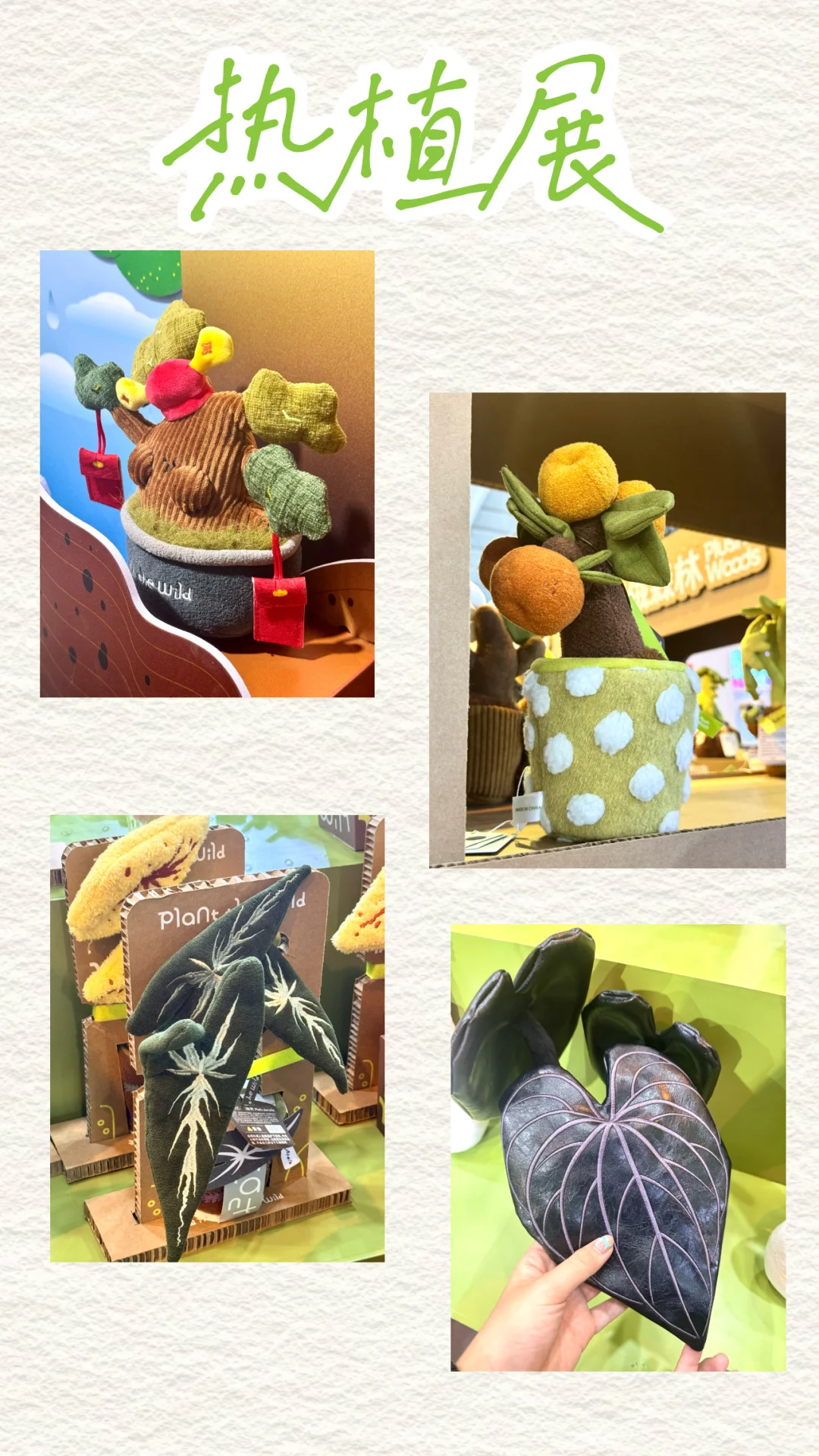 IFEX国际花卉园艺展会记