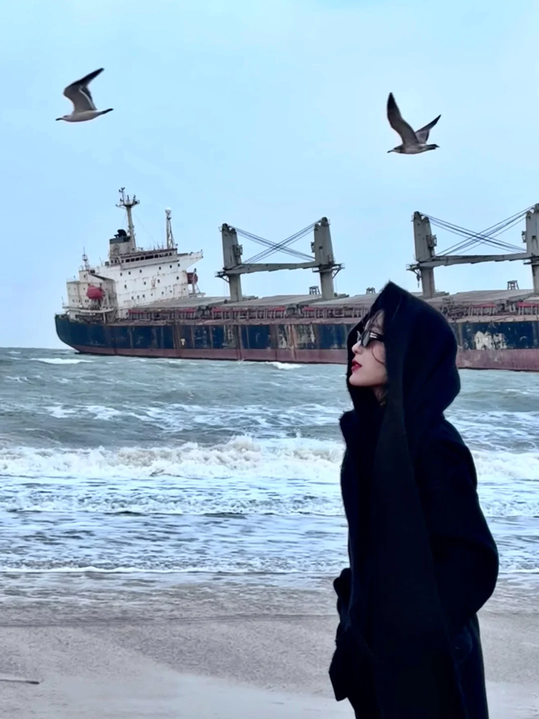 “ 这该死的宿命感 ”｜布鲁威斯号沉船