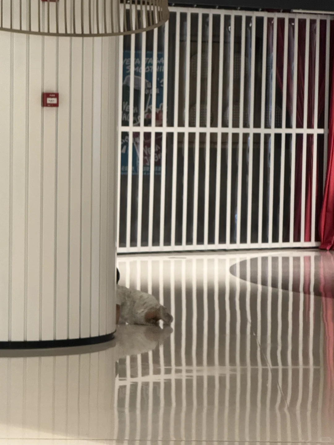 2025想搞钱 外贸SOHO怎样真正靠谱接单？