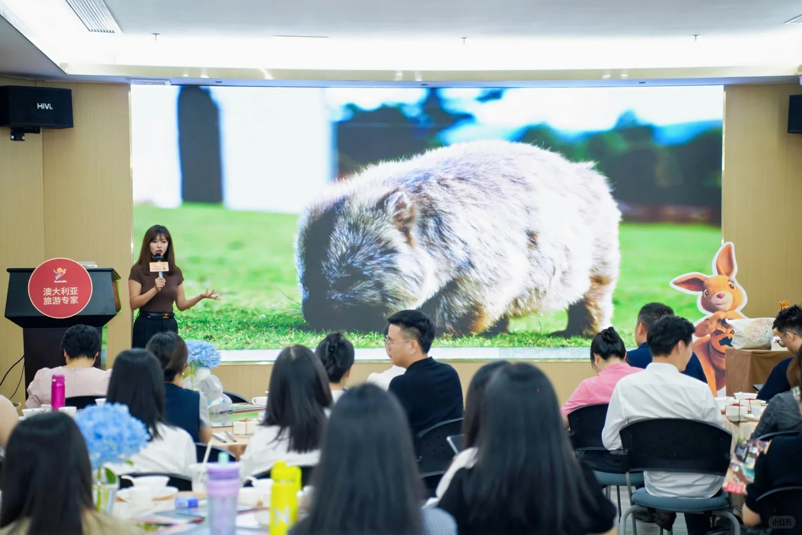 小型推介会怎么拍？