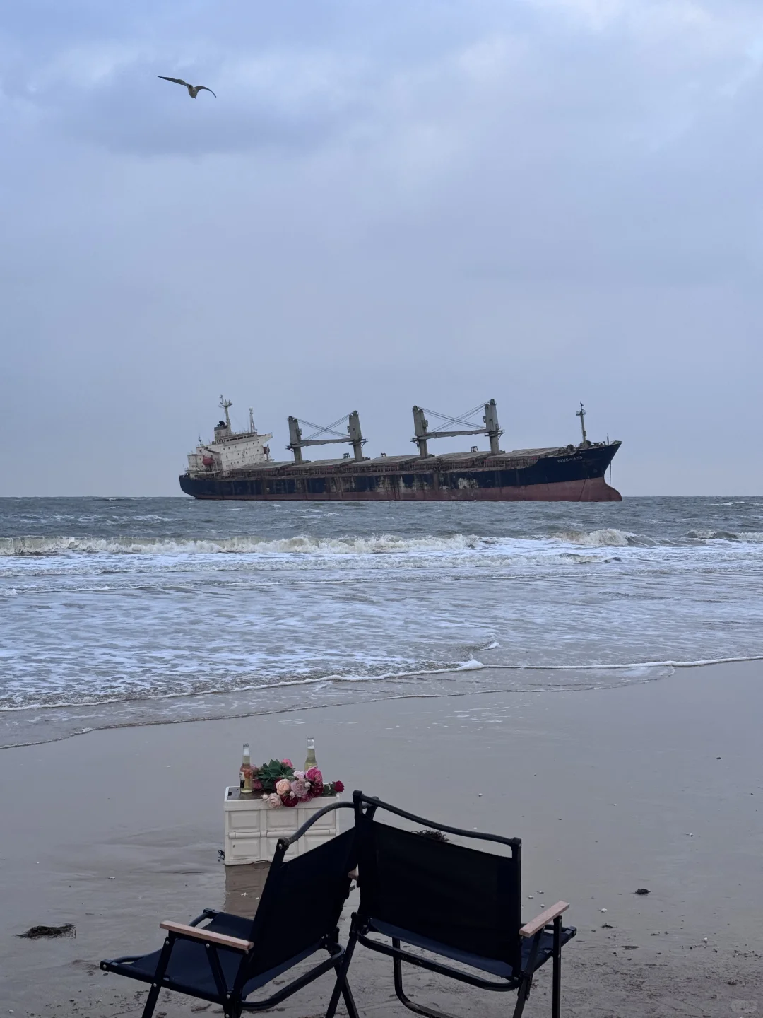 “ 这该死的宿命感 ”｜布鲁威斯号沉船