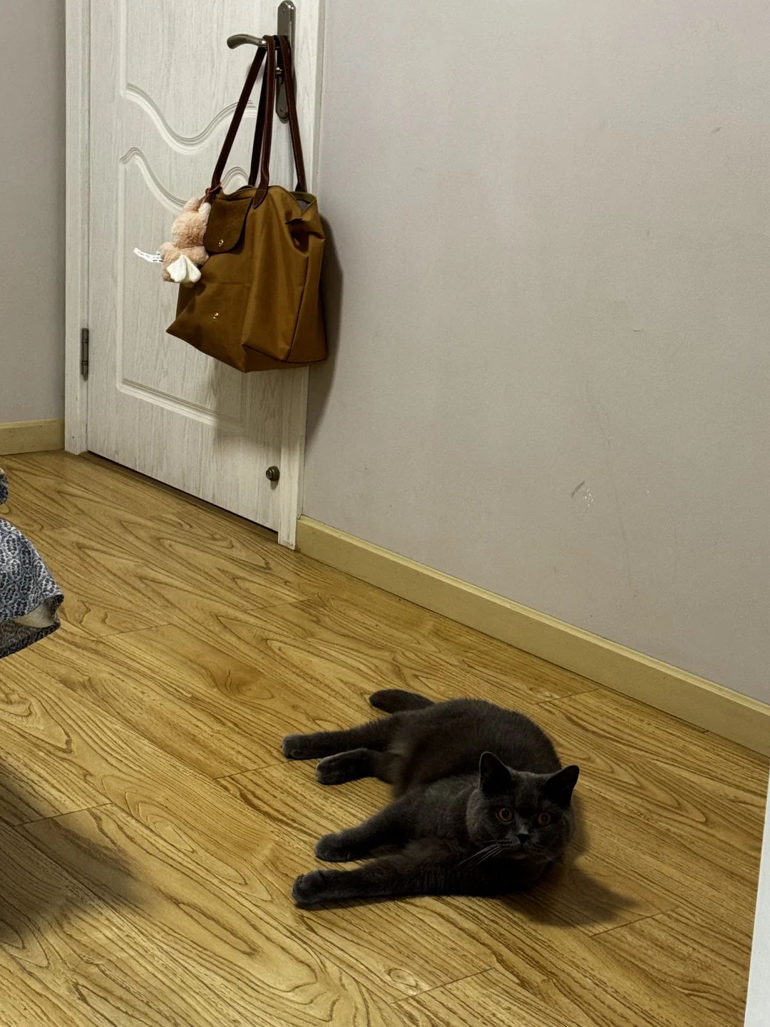 30多岁INFJ送给25岁INFJ的使用说明书——