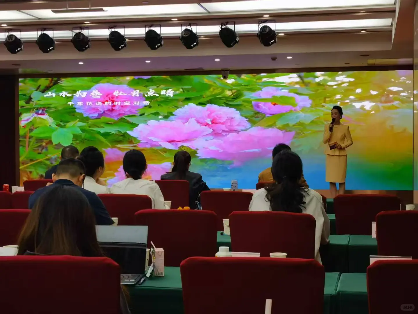 重庆市优秀文旅推介官