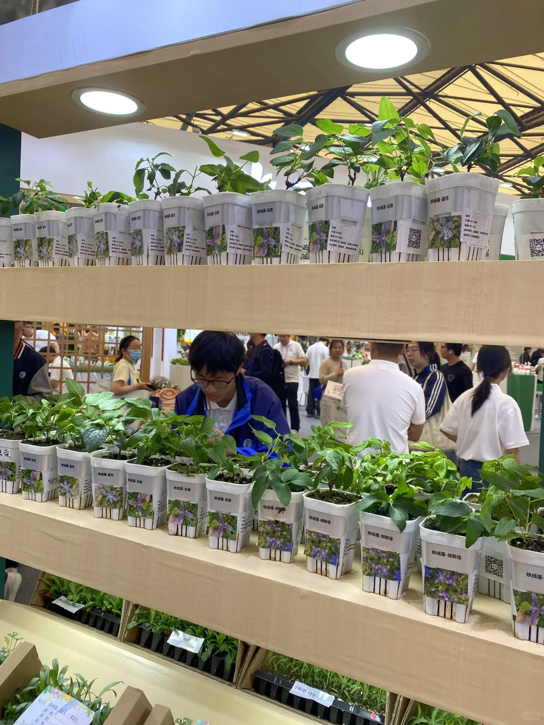 国际花卉园艺展归来