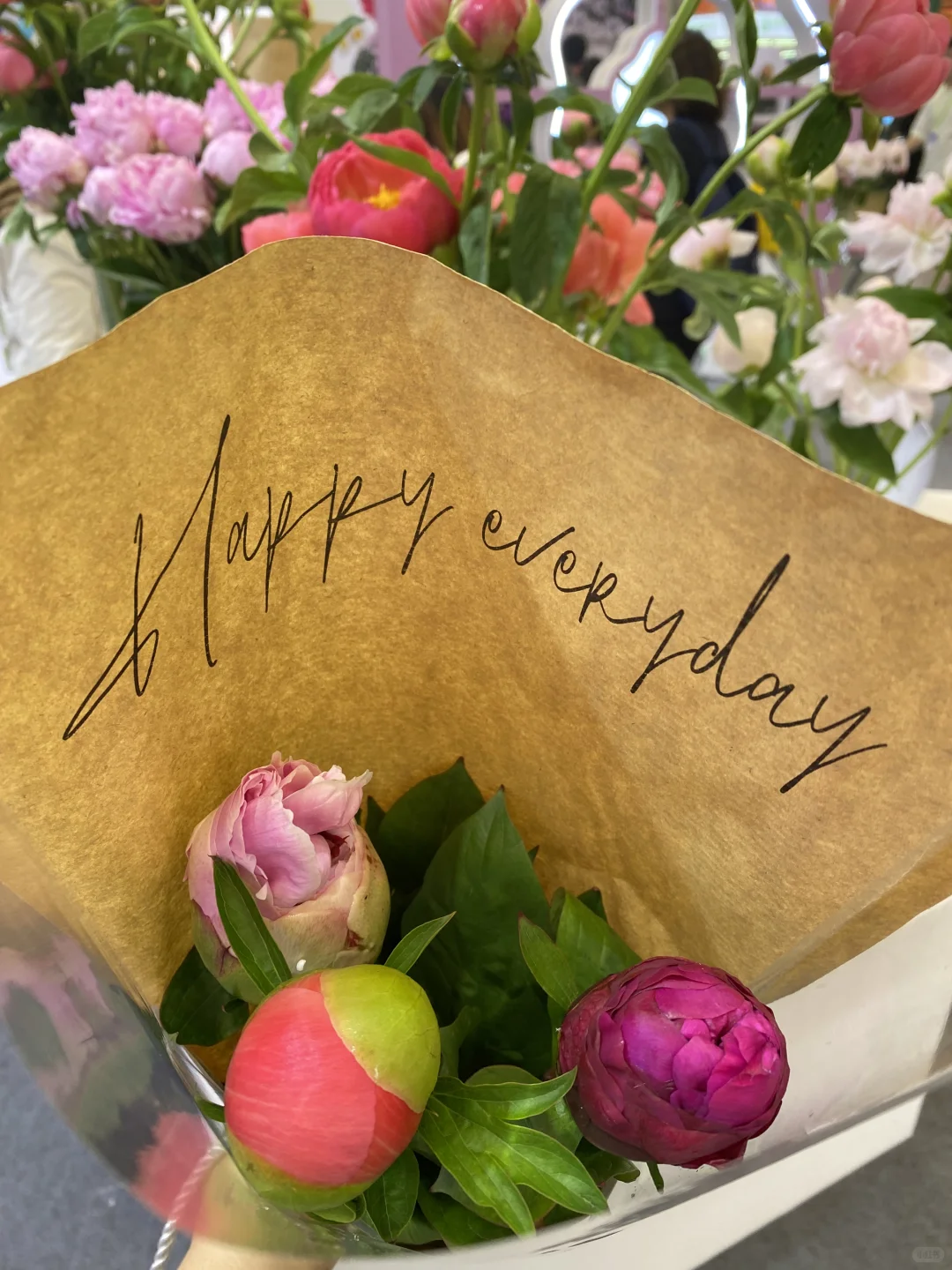 国际花卉园艺展归来