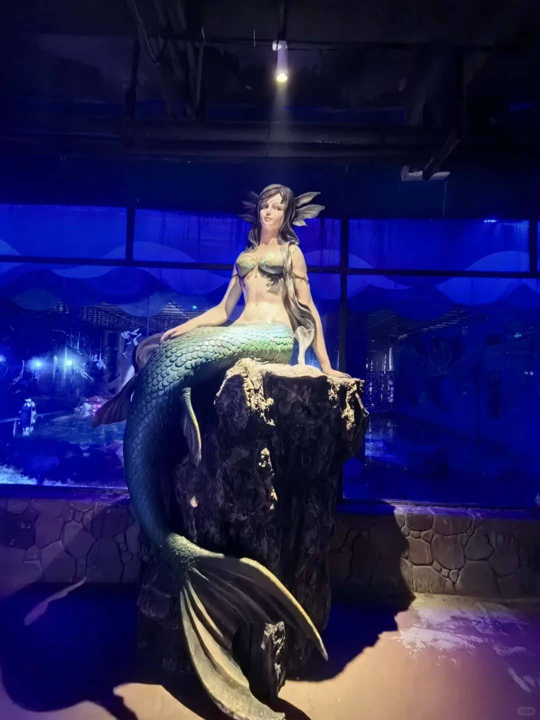 邯郸|早知道有海底世界还去什么三亚?