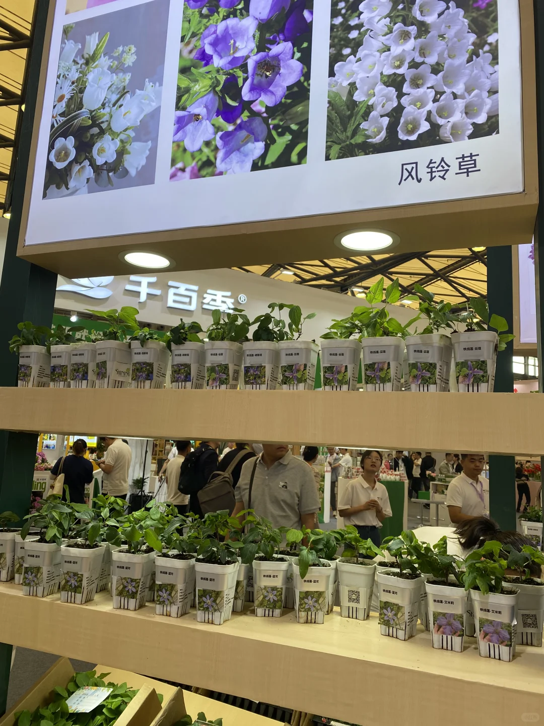 国际花卉园艺展归来