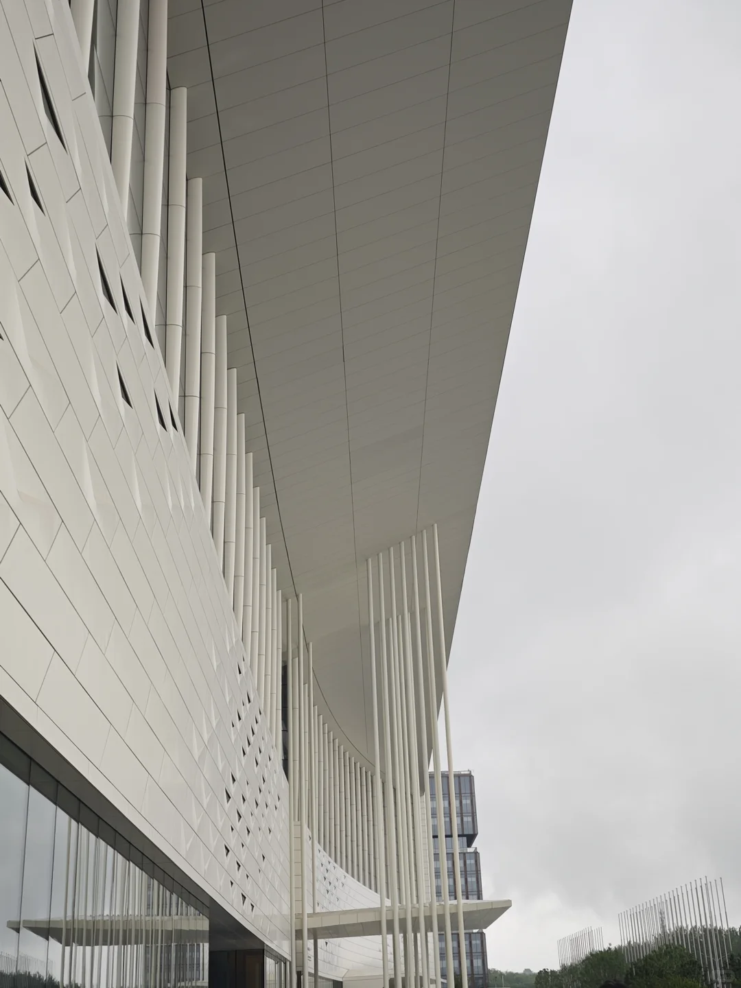 雨天｜参加2025北京国际商事法律论坛