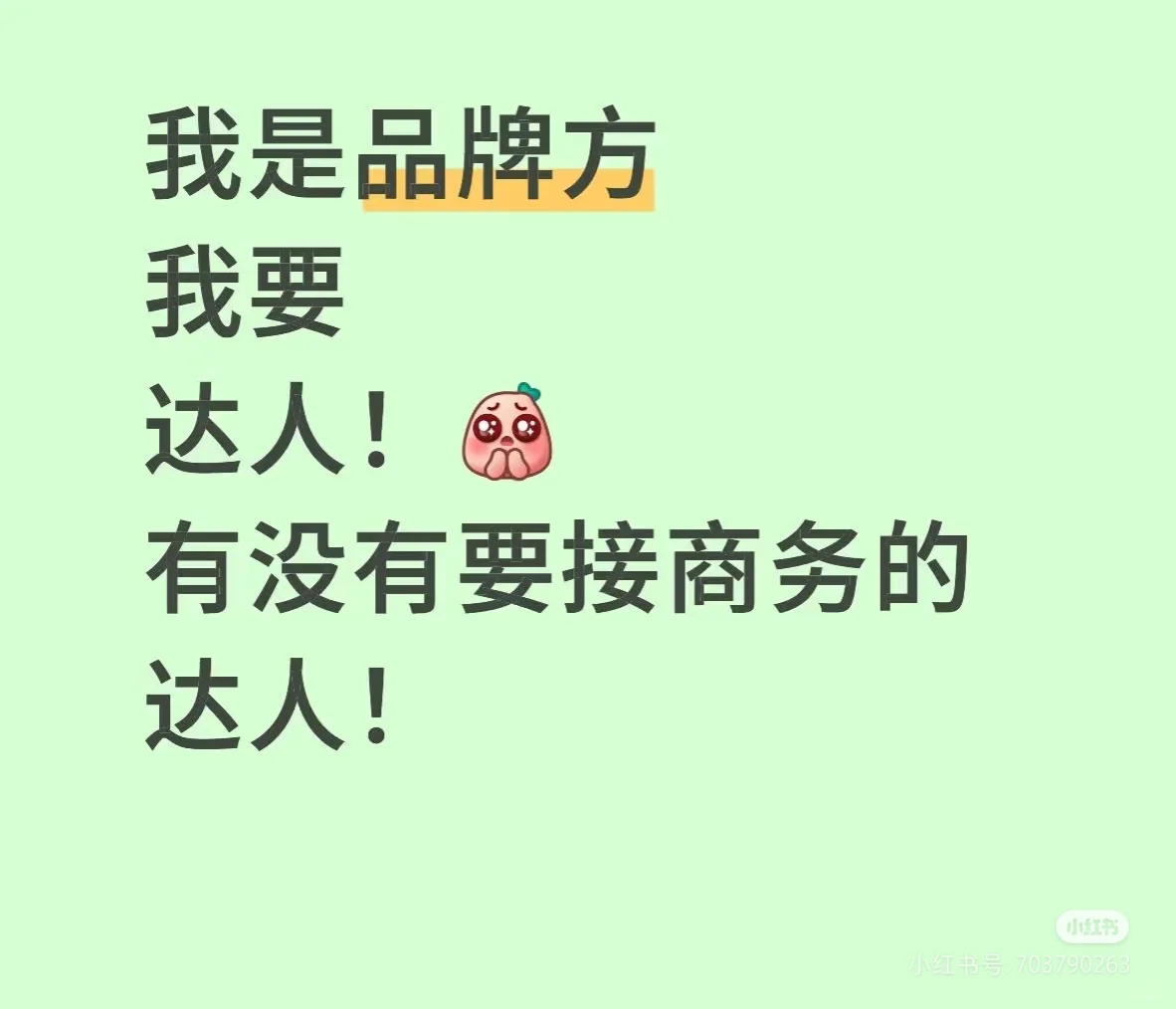 这里需要达人博主