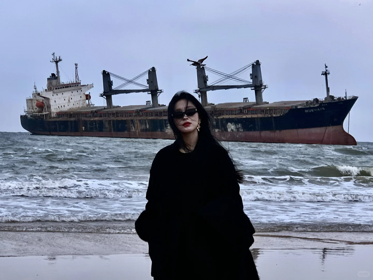 “ 这该死的宿命感 ”｜布鲁威斯号沉船