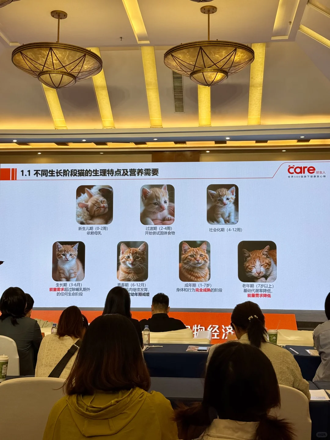 “它”经济新纪元来啦！宠物人狂喜的干货现场