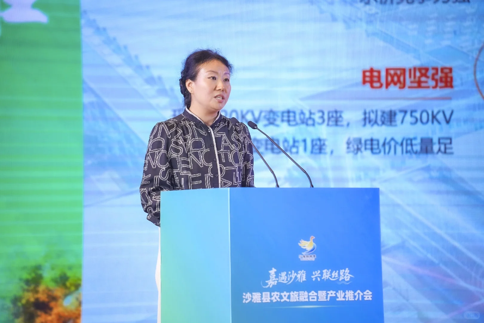 沙雅县农文旅融合暨产业推介会