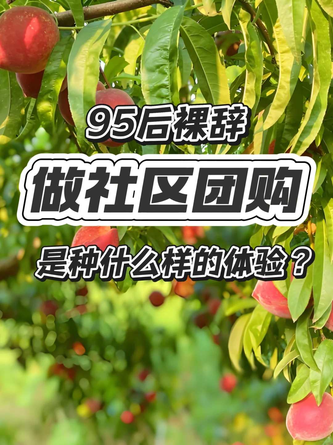 95后裸辞做社区团购是种什么样的体验❓❓❓