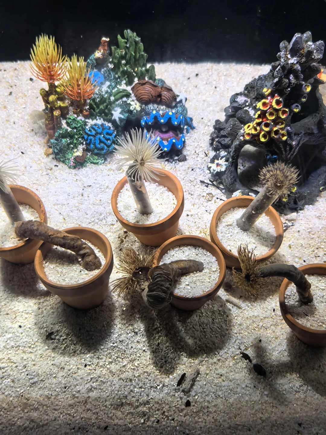 邯郸|早知道有海底世界还去什么三亚?