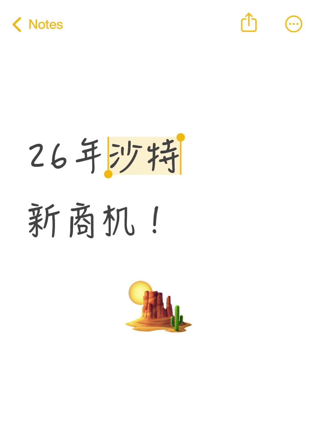 沙特机遇来啦！