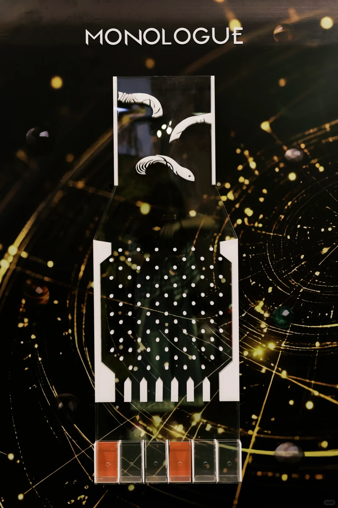 武汉养宠人集合啦！带毛孩子去逛这个展！