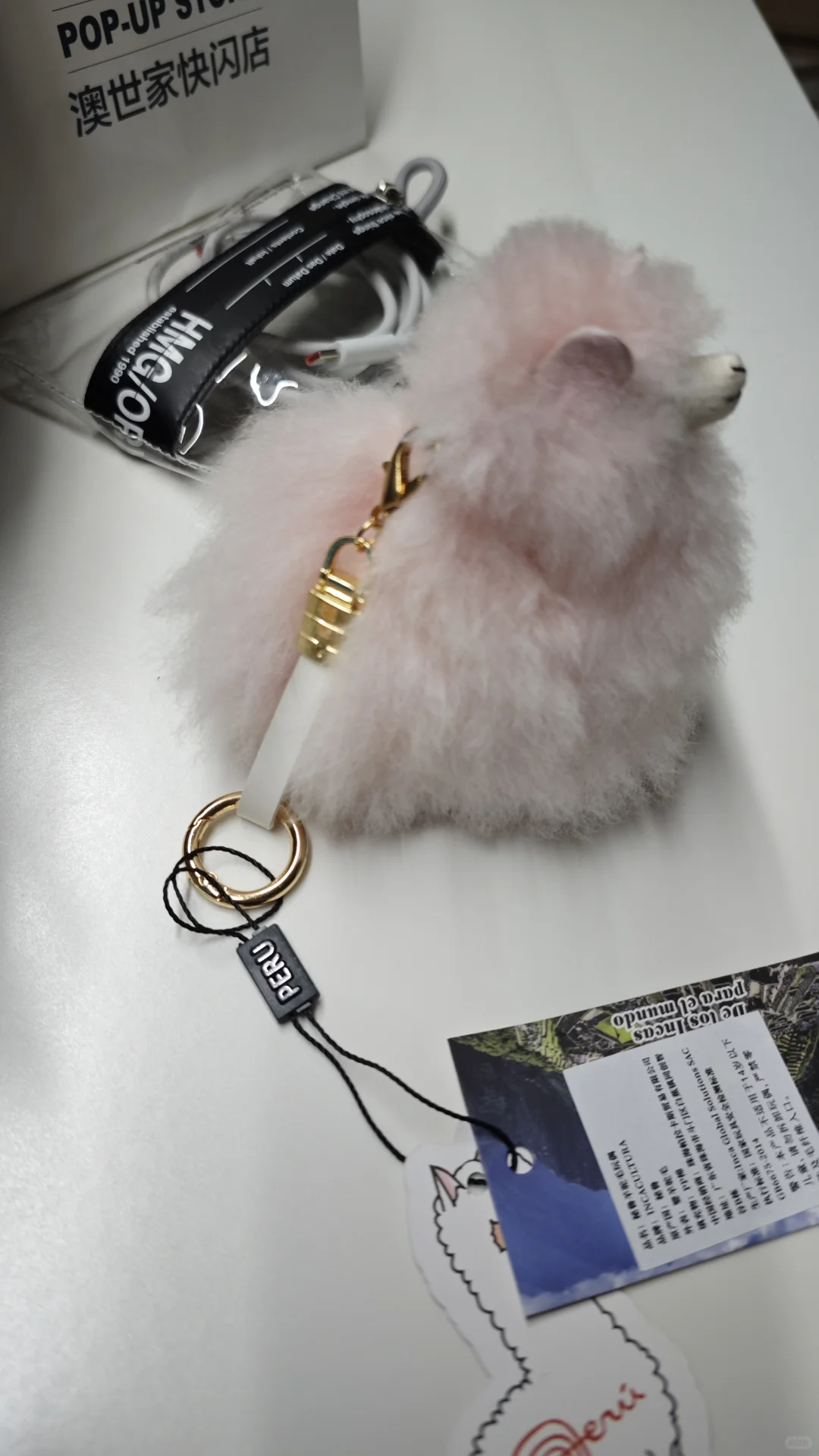 东盟博览会结束啦