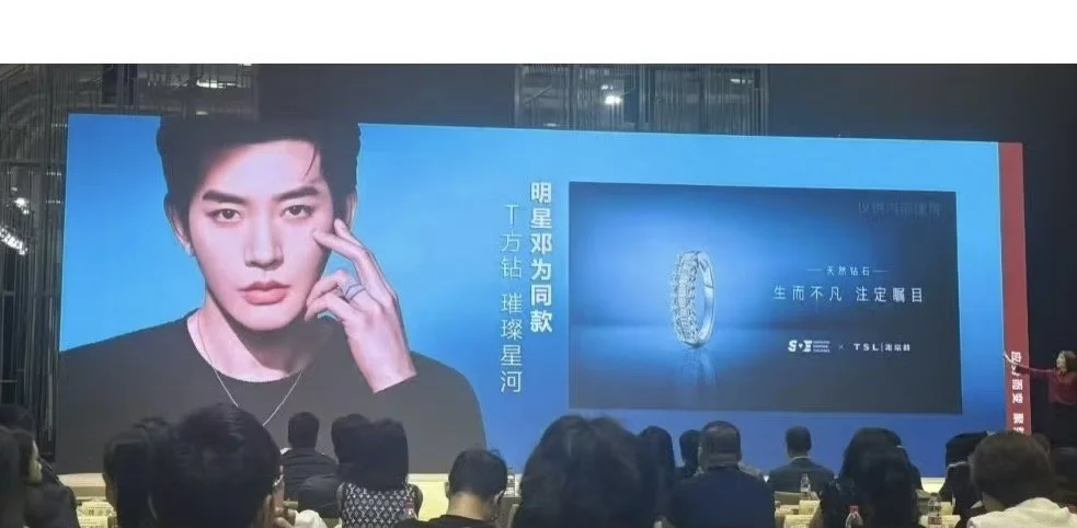 天然钻石协会项目推介会