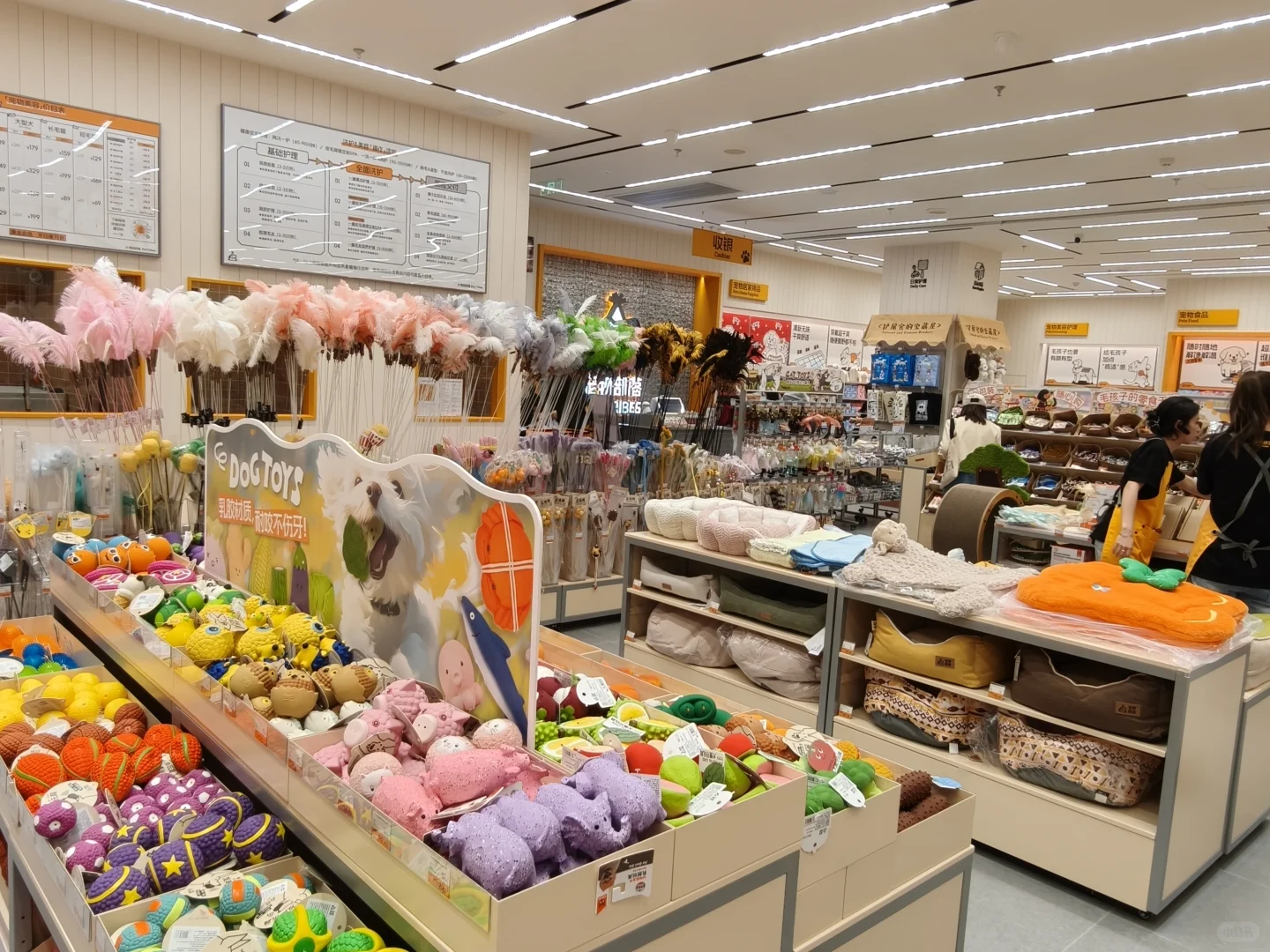 西安也有大型宠物超市了❗