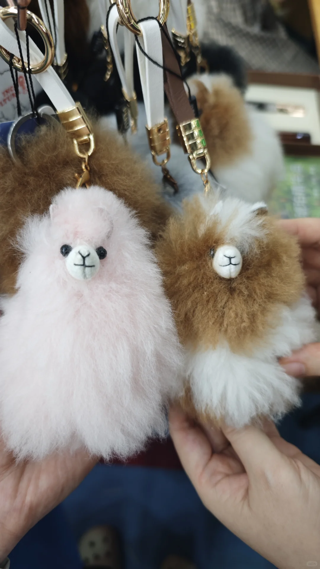 东盟博览会结束啦