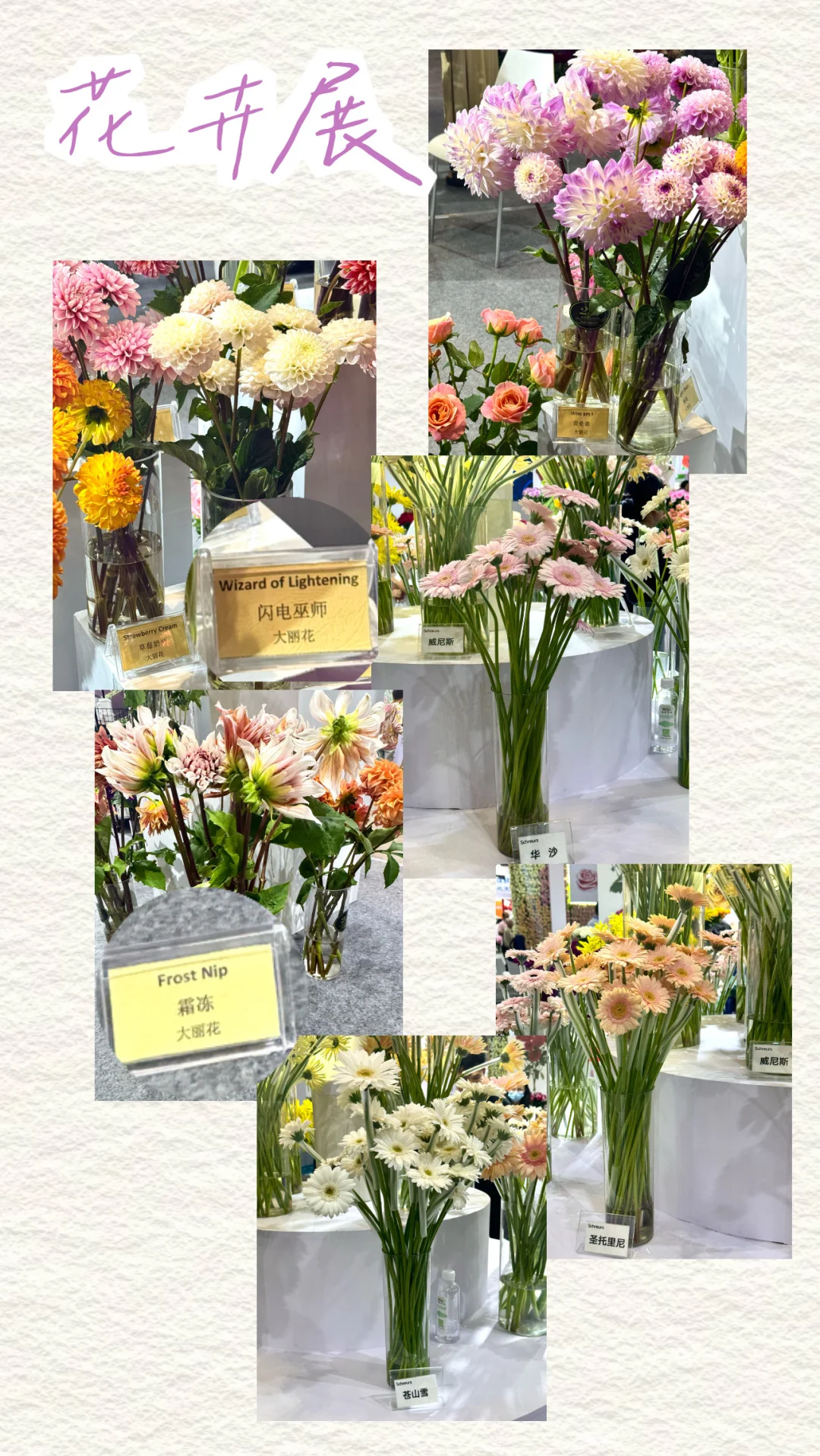 IFEX国际花卉园艺展会记