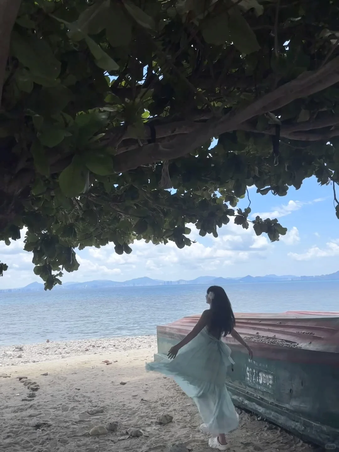 西岛拍照姿势教学，超有生命力