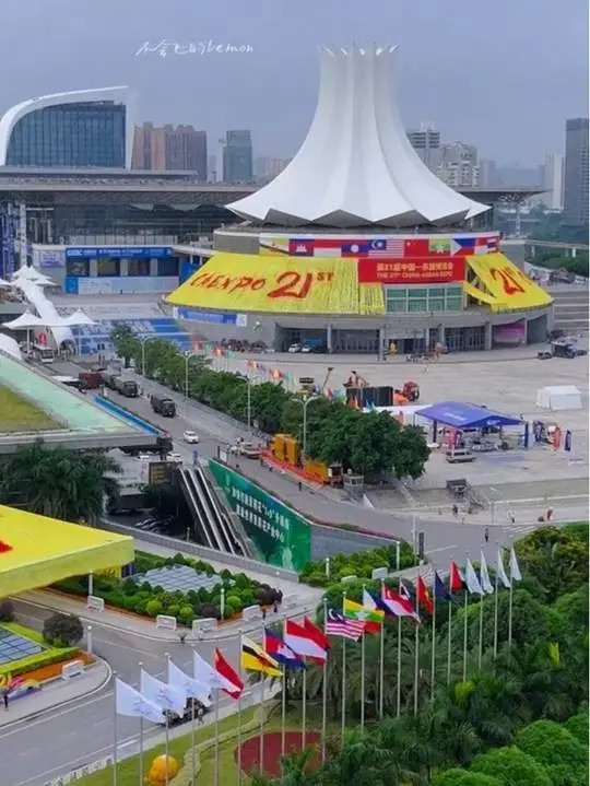 我要去东博会了！！！