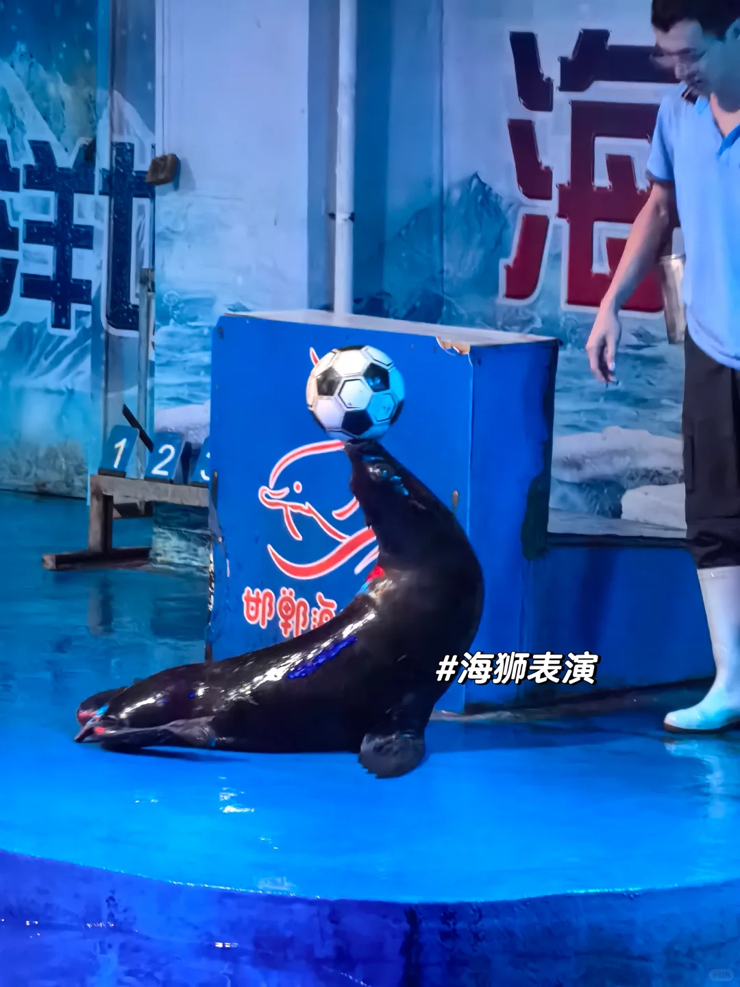 邯郸|早知道有海底世界还去什么三亚?