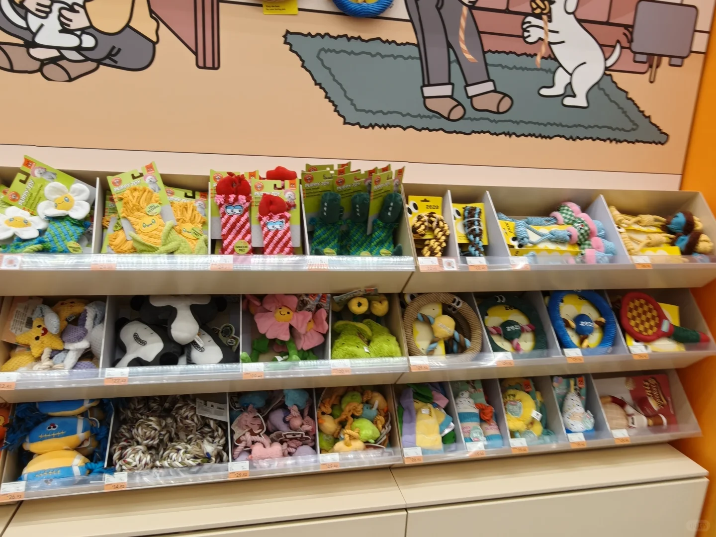 西安也有大型宠物超市了❗