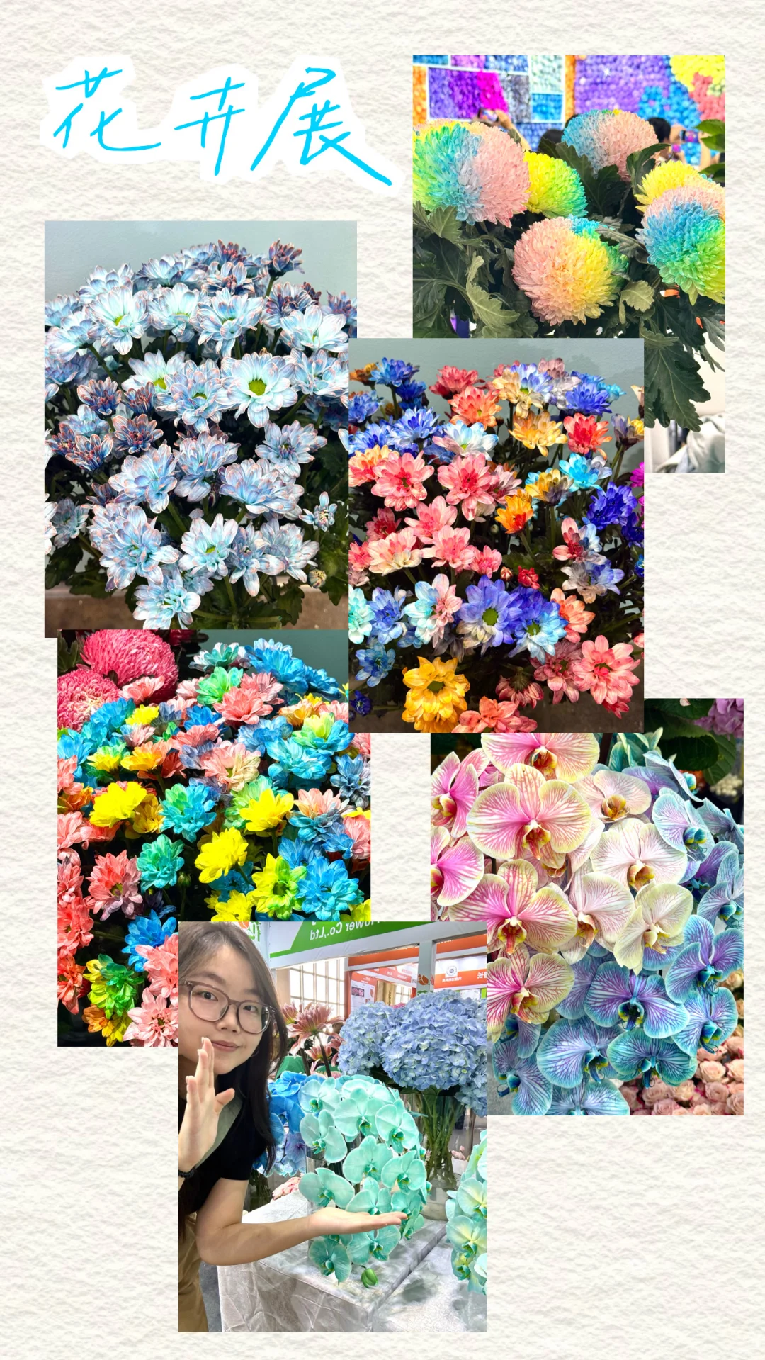 IFEX国际花卉园艺展会记