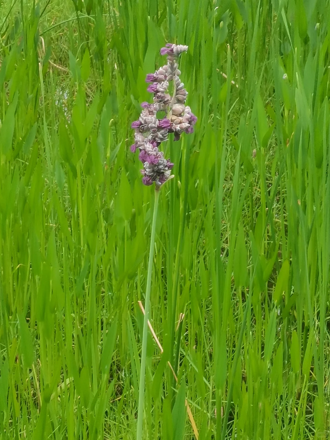 50+的退休生活，时光里，暑气未消寻秋意