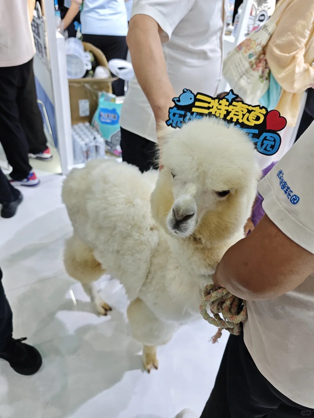 2025中国文化旅游博览会还可以预约哦～