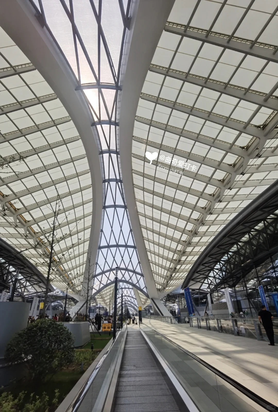 【观赛攻略】第三届全国技能大赛~郑州站