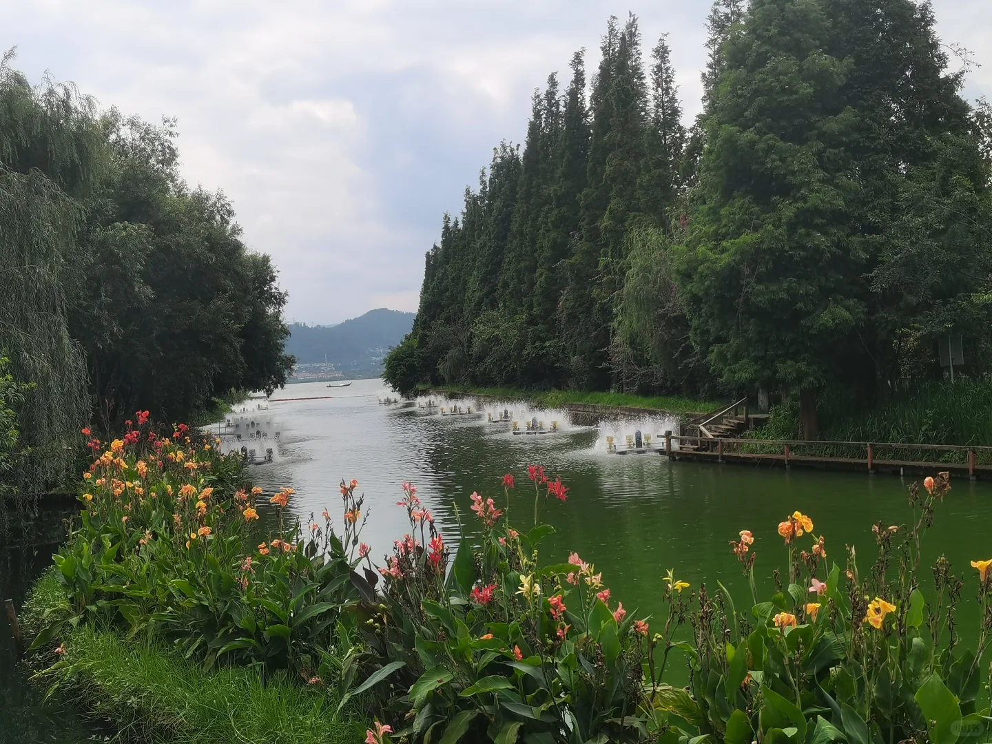 50+的退休生活，时光里，暑气未消寻秋意