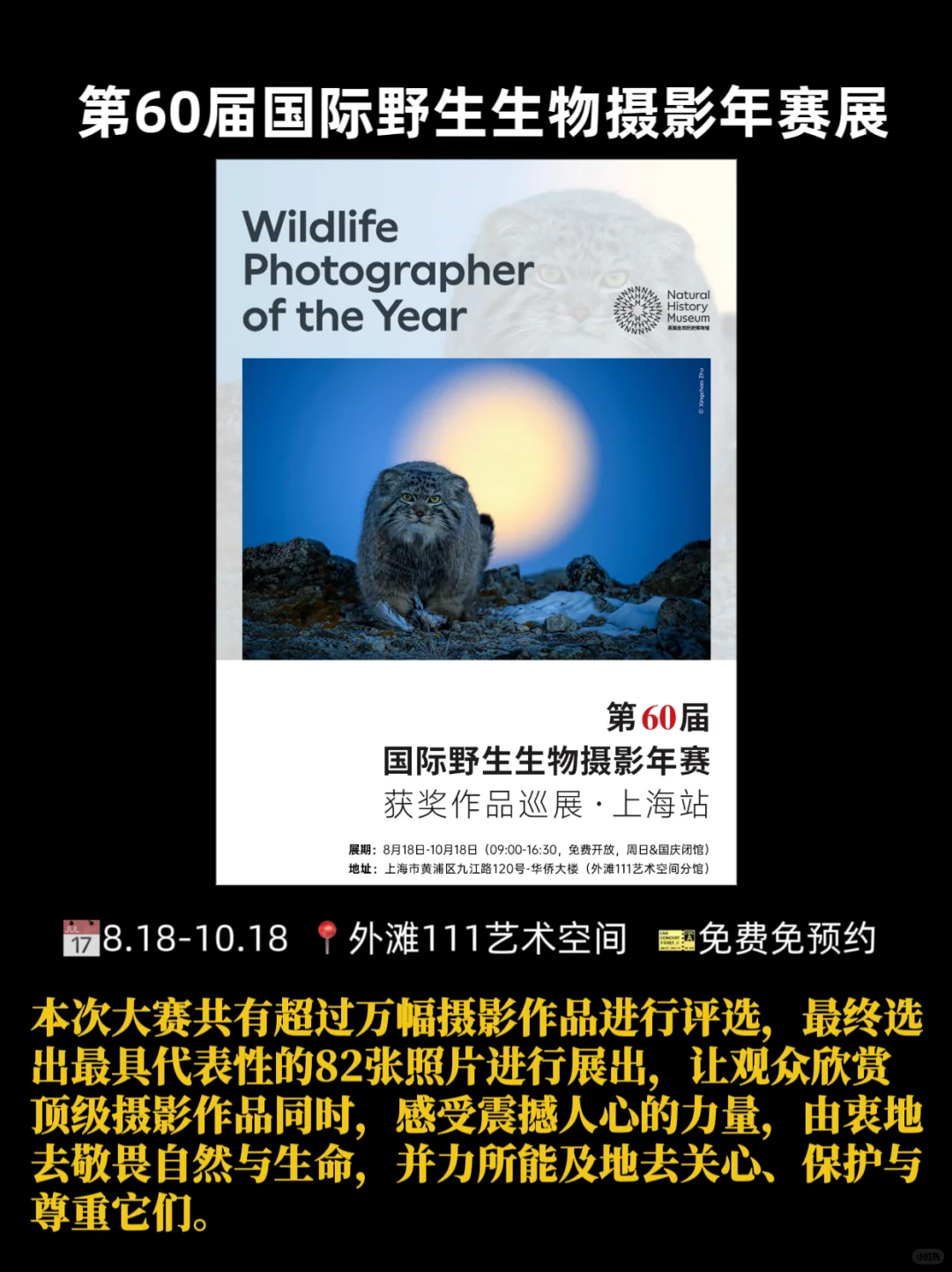 展讯·上海10月看展计划