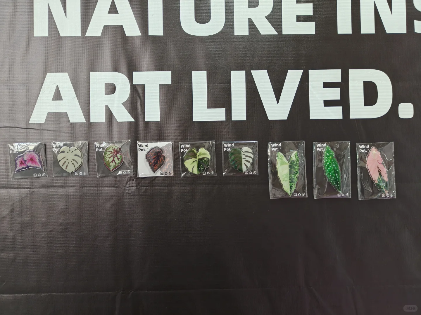 滇池国际会展中心快来免费薅羊毛啦～#win