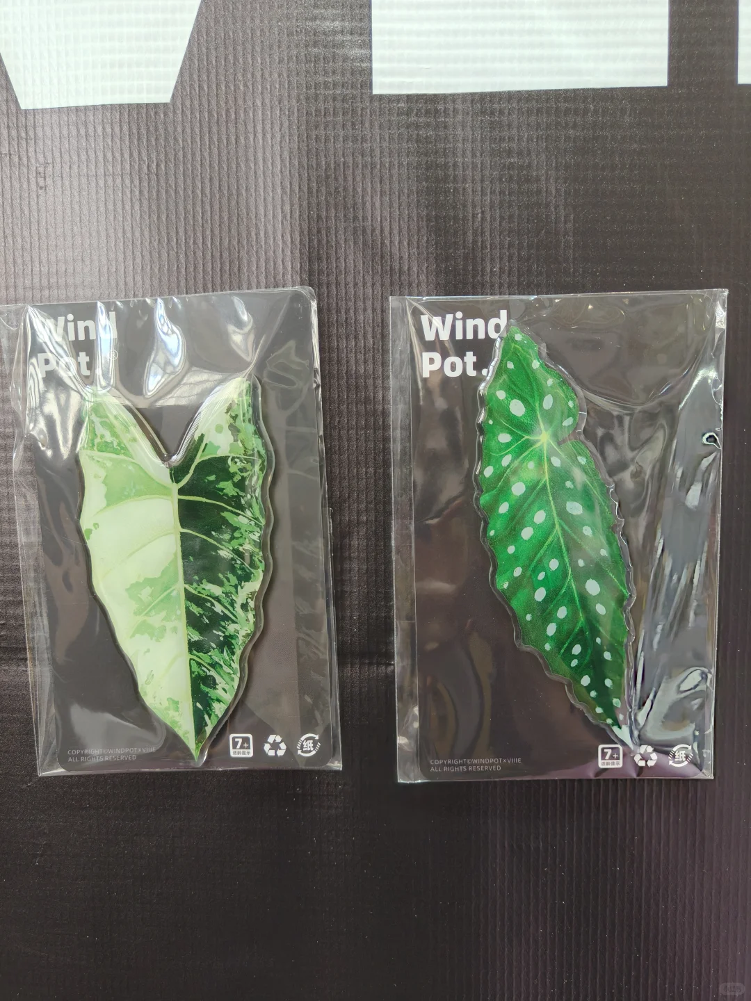 滇池国际会展中心快来免费薅羊毛啦～#win