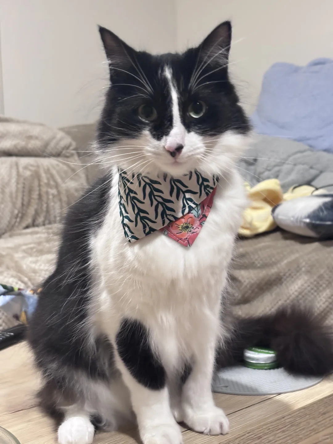 墨尔本90后失业少妇的缝纫大业