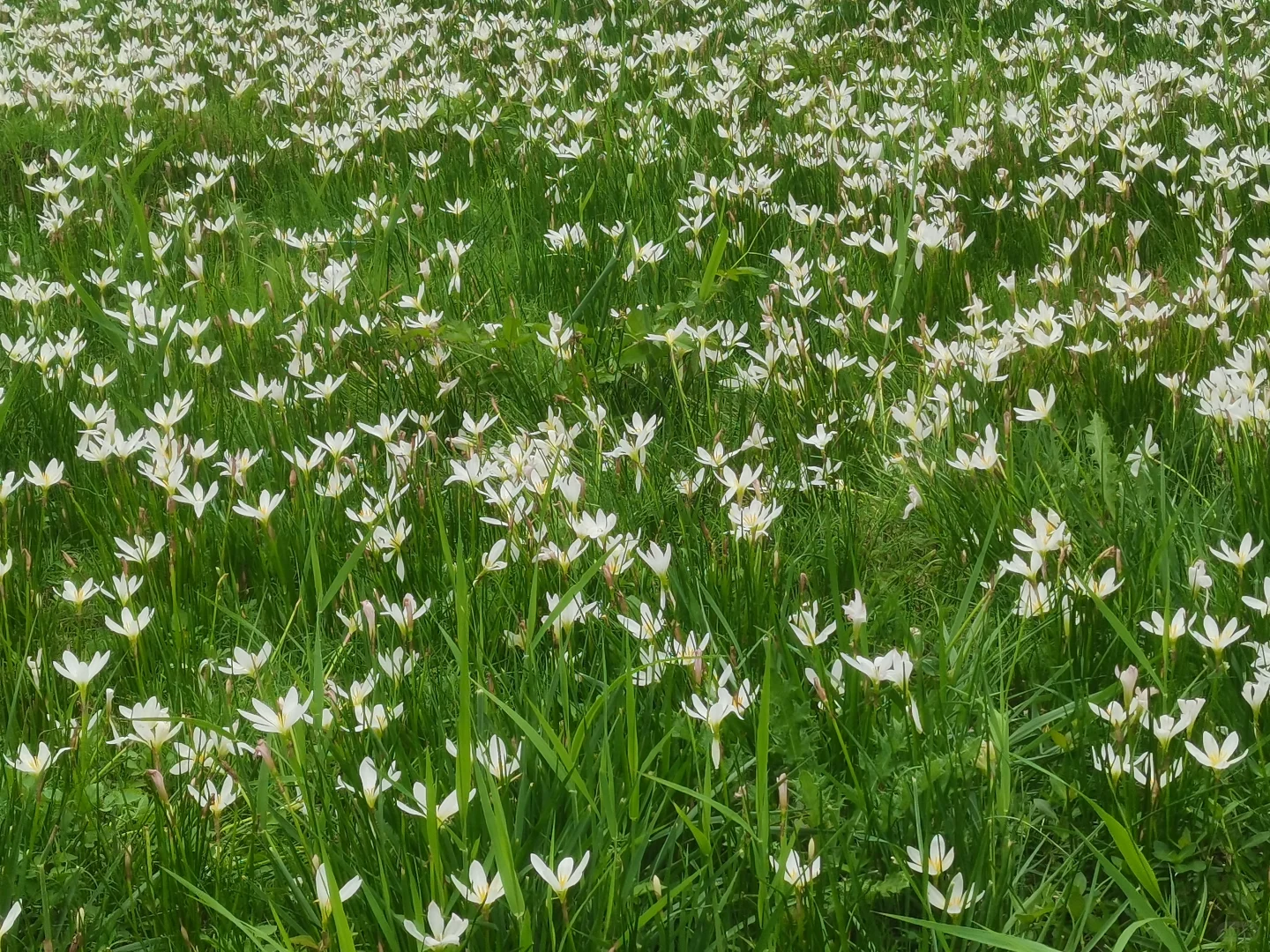 50+的退休生活，时光里，暑气未消寻秋意