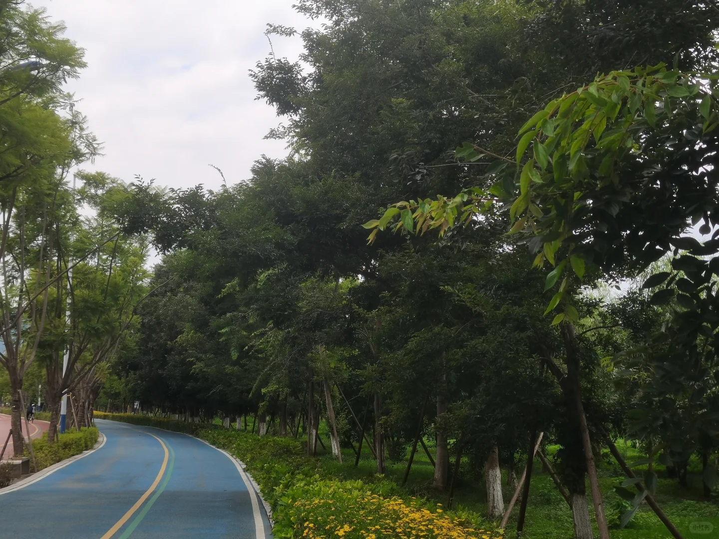 50+的退休生活，时光里，暑气未消寻秋意