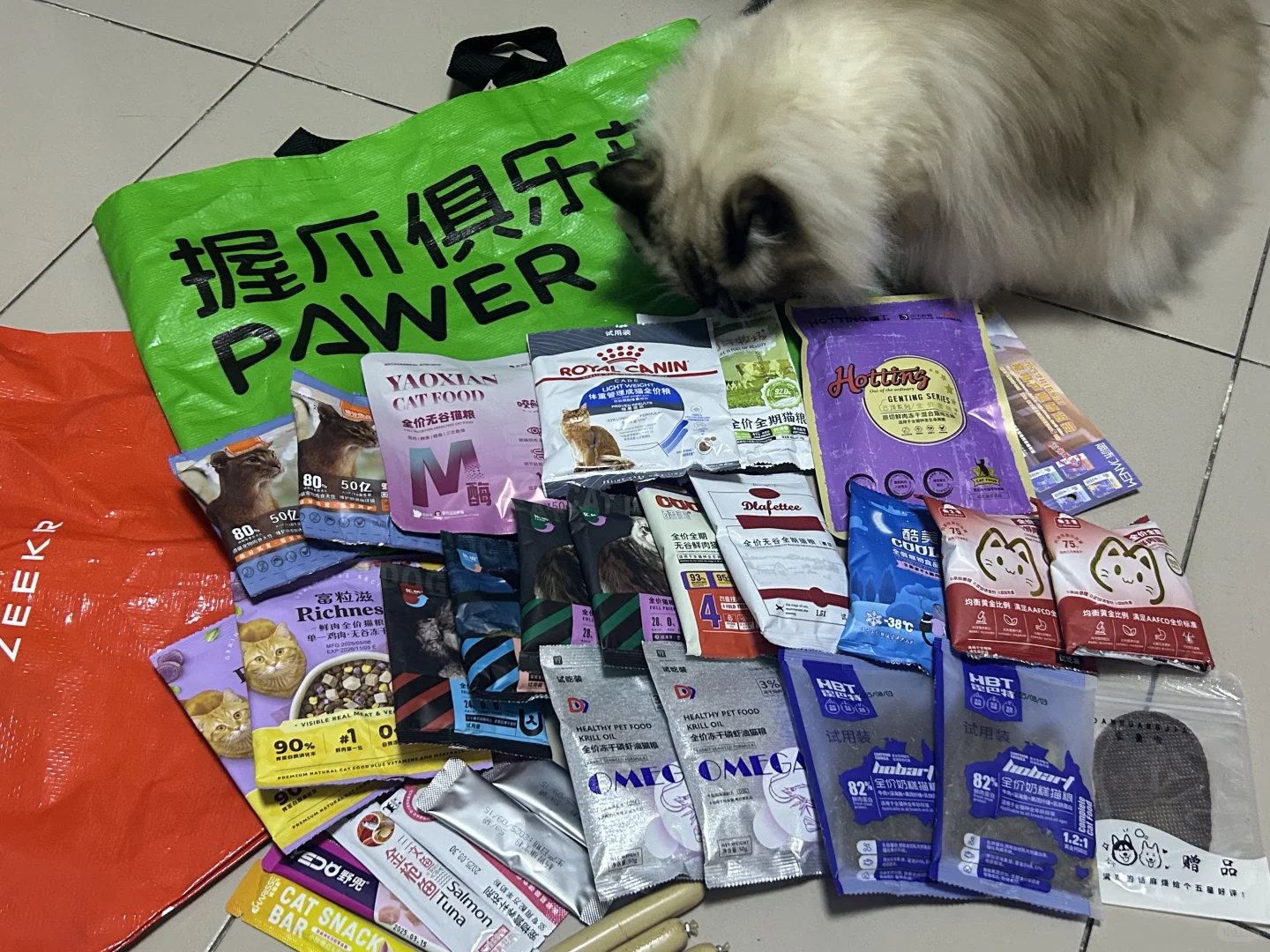 石家庄宠物展反馈