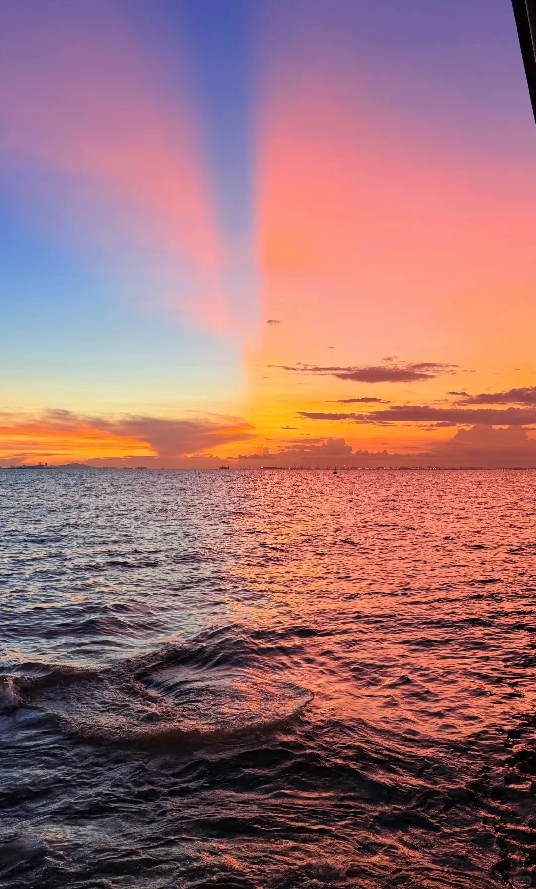 失业后,才发现深圳这么多活动!