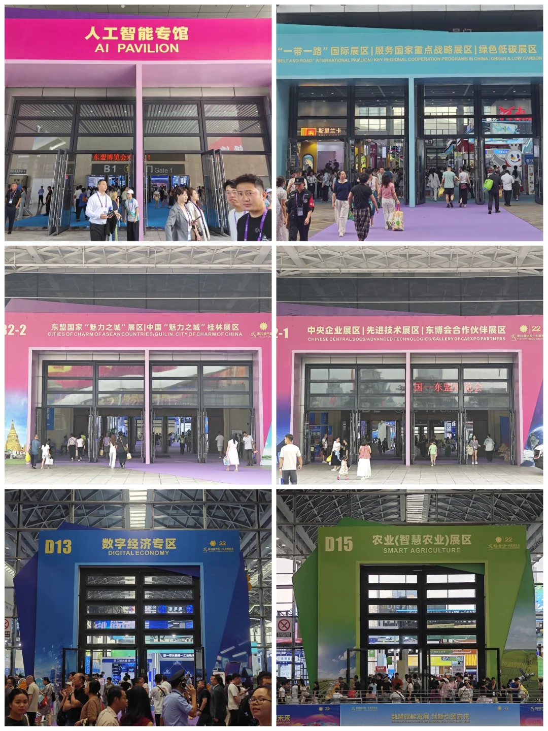 今年的东盟博览会，大家觉得怎么样？