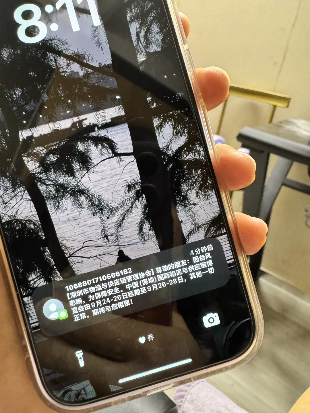 桦加沙来了，深圳物博会还开吗？